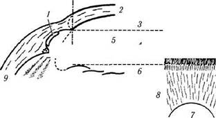 глава 3. строение глазного яблока 5 страница - student2.ru