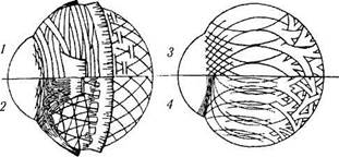 глава 3. строение глазного яблока 5 страница - student2.ru