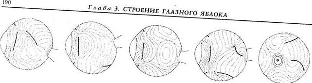 глава 3. строение глазного яблока 5 страница - student2.ru