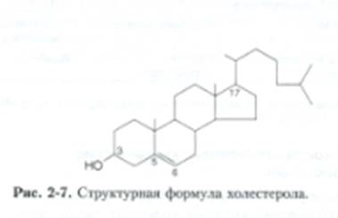 Гликосфинголипиды: клинические корреляции - student2.ru