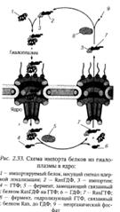 и реализации генетической информации - student2.ru