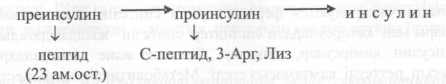 Инсулин химиялық табиғаты және алмасу процестерін реттеуде әсер ету механизмі. - student2.ru