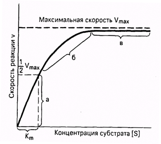 кинетика ферментативных реакций - student2.ru