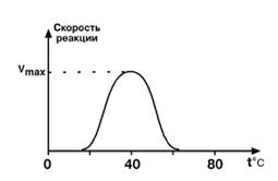 Кинетика ферментативных реакций - student2.ru