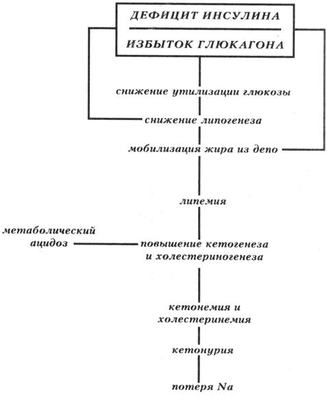 Классификация диабетов - student2.ru