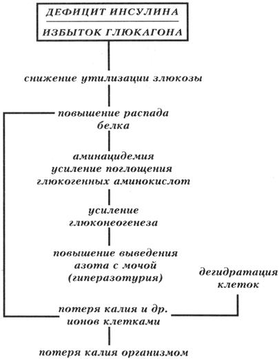 Классификация диабетов - student2.ru