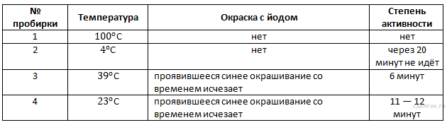 Ко­ли­че­ство по­гло­щен­но­го СO2 (в мкл/мин) при раз­ной кон­цен­тра­ции - student2.ru