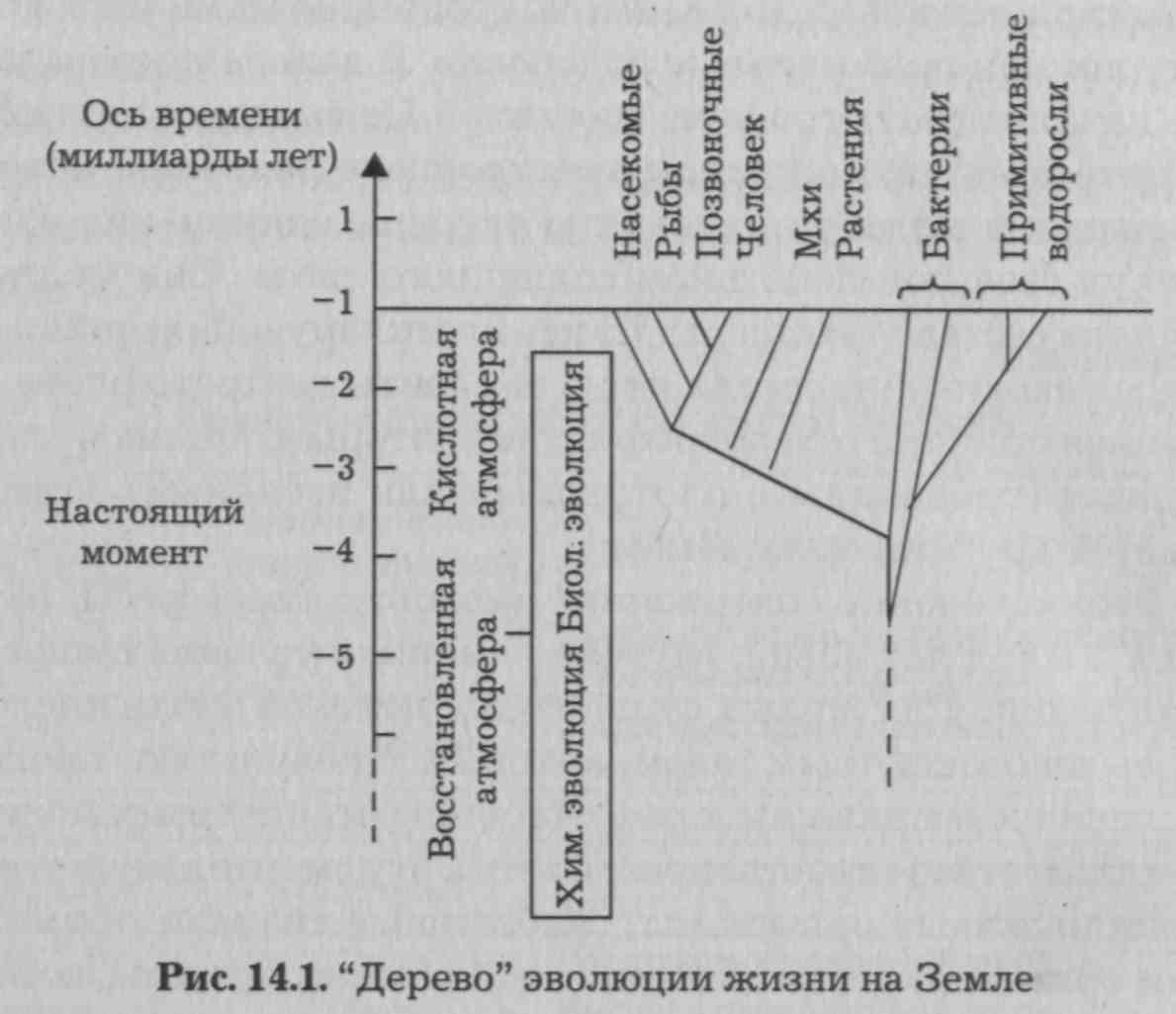 Концепции происхождения жизни но Земле - student2.ru