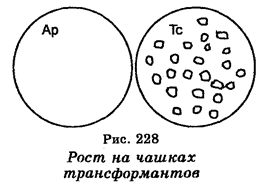 Конструирование рекомбинантных - student2.ru