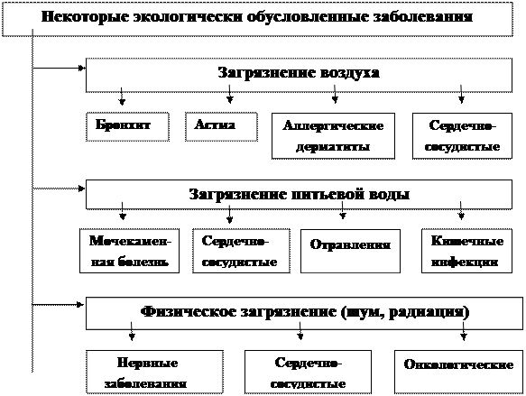 Консультация по теме: Основы экологической генетики. Основы фармакогенетики - student2.ru