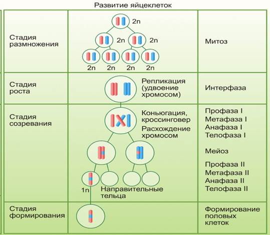 Контрольно-измерительные материалы - student2.ru