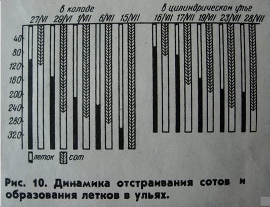 Л. М. ЧАПЛИН, научный сотрудник Научно-исследовательского института пчеловодства - student2.ru