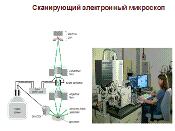 Лекция № 1 «Клеточная организация жизни» 9.09.2016 г - student2.ru