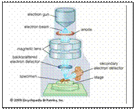 Magnification and resolution - student2.ru