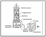 Magnification and resolution - student2.ru