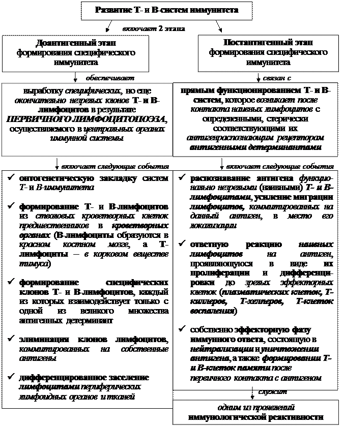 Механизмы эффекторного действия Т-клеток воспаления - student2.ru