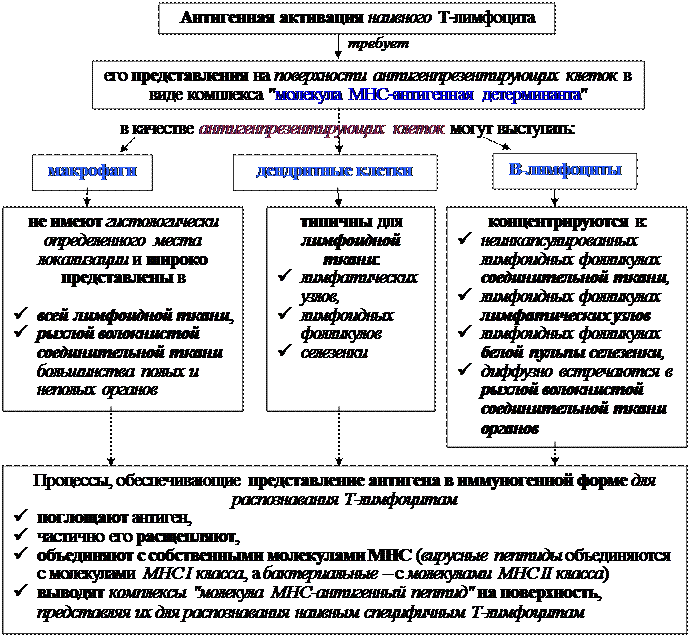 Механизмы эффекторного действия Т-клеток воспаления - student2.ru