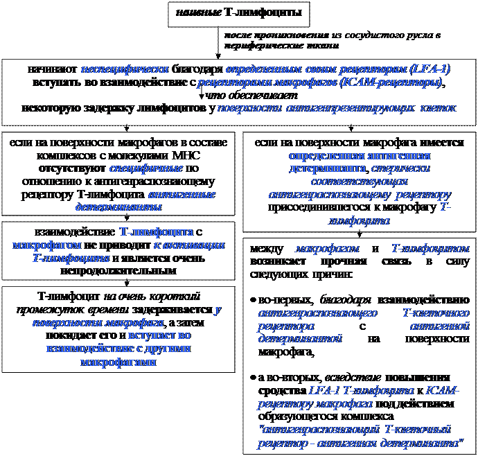 Механизмы эффекторного действия Т-клеток воспаления - student2.ru