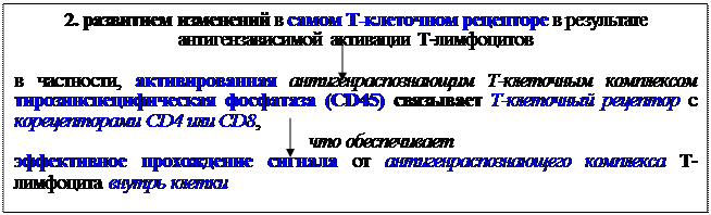 Механизмы эффекторного действия Т-клеток воспаления - student2.ru