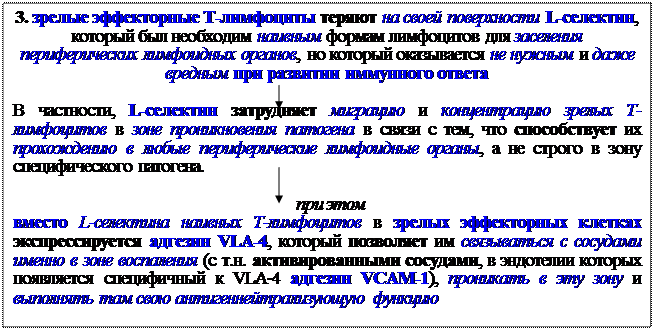 Механизмы эффекторного действия Т-клеток воспаления - student2.ru