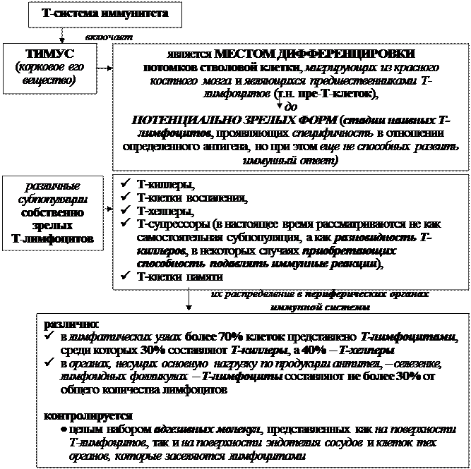 Механизмы эффекторного действия Т-клеток воспаления - student2.ru