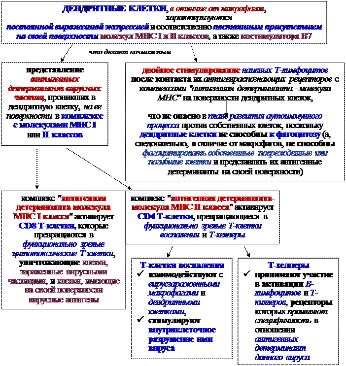 Механизмы эффекторного действия Т-клеток воспаления - student2.ru