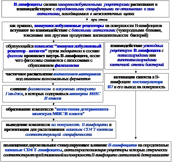 Механизмы эффекторного действия Т-клеток воспаления - student2.ru