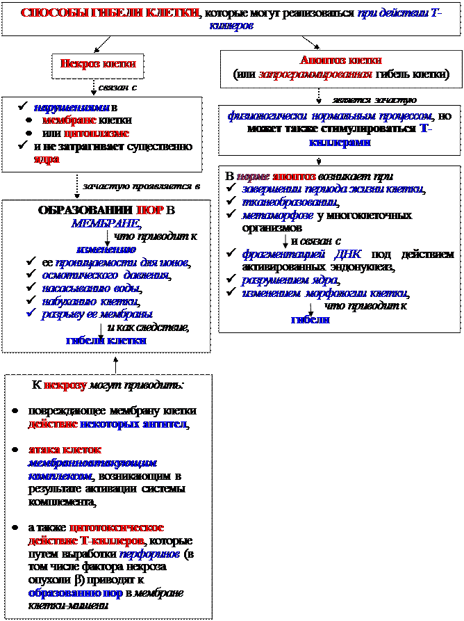 Механизмы эффекторного действия Т-клеток воспаления - student2.ru