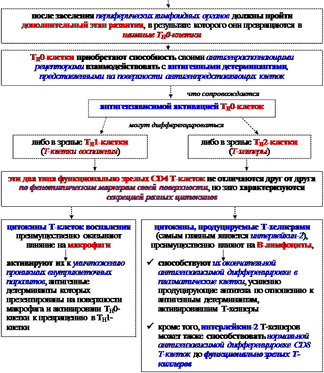 Механизмы эффекторного действия Т-клеток воспаления - student2.ru