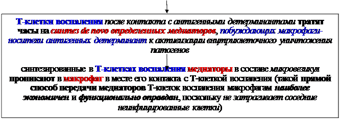 Механизмы эффекторного действия Т-клеток воспаления - student2.ru