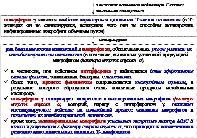 Механизмы эффекторного действия Т-клеток воспаления - student2.ru