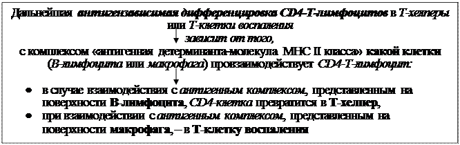 Механизмы эффекторного действия Т-клеток воспаления - student2.ru