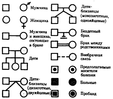 Методы изучения генетики человека. К методам, широко используемым при изучении генетики человека, относятся генеалогический, популяционно-статистический - student2.ru