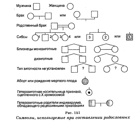 Методы изучения наследственности - student2.ru