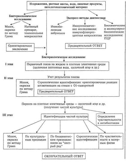 микробиологическая диагностика холеры - student2.ru