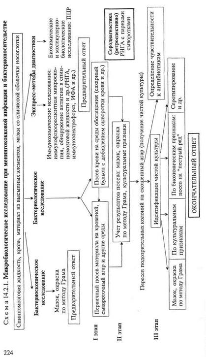 Микробиологическая диагностика менингококковой инфек­ции - student2.ru