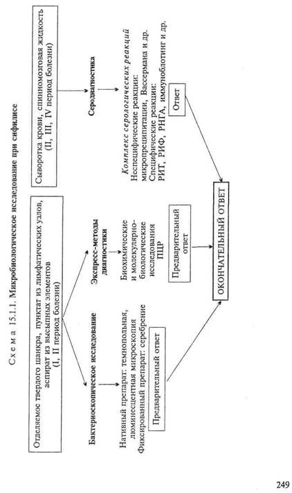 Микробиологическая диагностика сифилиса - student2.ru