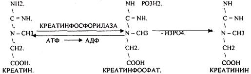 МИТОХОНДРИЯХ, остальные в цитоплазме - student2.ru