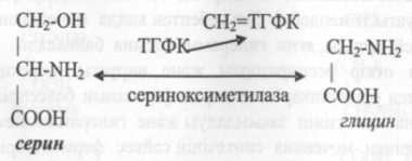 Мочевинаның биосинтезі. Мочевинаның шығарылуы мен синтезінің бұзылыстары. - student2.ru