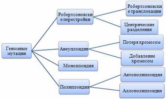 Модификационная изменчивость - student2.ru