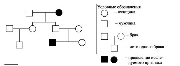 Мужчина с нормальным зрение женился на женщине-дальтонике (рецессивный ген d сцеплен с Х-хромосомой). Определите генотипы родителей, соотношение фенотипов и генотипов в потомстве. - student2.ru