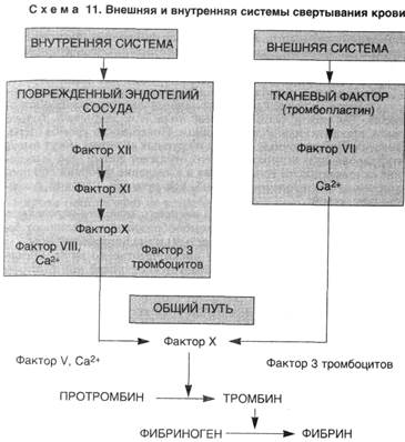 нарушения сосудистой проницаемости - student2.ru