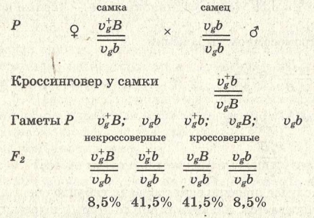 Наследование, сцепленное с полом - student2.ru