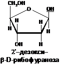 Названия, сокращенные обозначения, формулы аминокислот - student2.ru