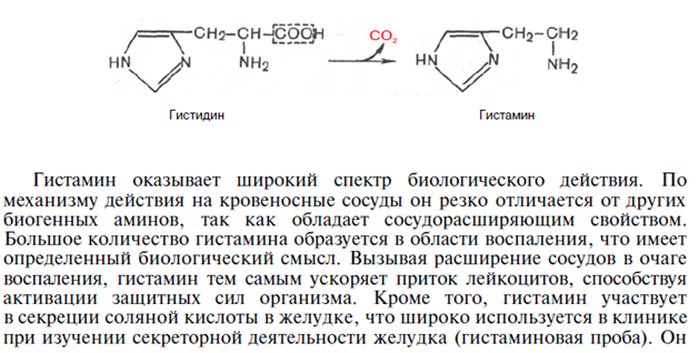 Неокислительное дезамитровате - student2.ru