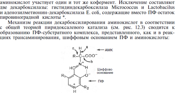 Неокислительное дезамитровате - student2.ru