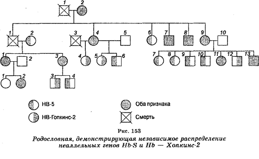 нормальная и патологическая - student2.ru