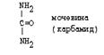 обезвреживание аммиака. синтез мочевины - student2.ru