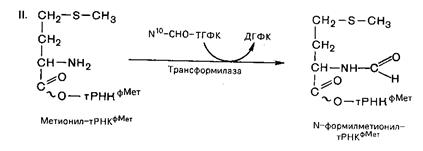 Обезвреживание аммиака в организме - student2.ru