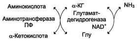 Обезвреживание бензойной кислоты - student2.ru